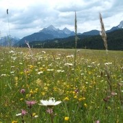 Unsere Dienstagswanderung 22.05.2018 | anders als geplant… – DAV Sektion Schrobenhausen