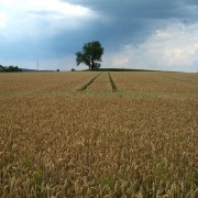 Wanderung mit und unter der Führung der Aichacher DAV-Seniorengruppe in das reizvolle Gebiet um das „Silberbrünnl“ – DAV Sektion Schroben…