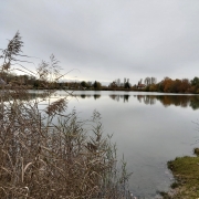 20191112DAVKühbach (6) Schöne Herbstwanderung – DAV Sektion Schrobenhausen