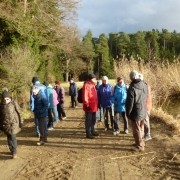 20191212DAVLindenWeihn2 (3) Rundwanderung von Linden und Weihnachtsfeier der Wandergruppe 2 – DAV Sektion Schrobenhausen