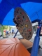 Boulderscheibe auf dem Schrannenfest – DAV Sektion Schrobenhausen